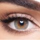 Daily Anesthesia Contact Lenses - New York Collection-Verde